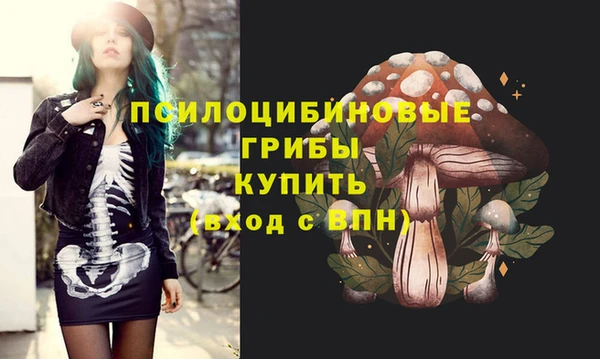 COCAINE Белокуриха